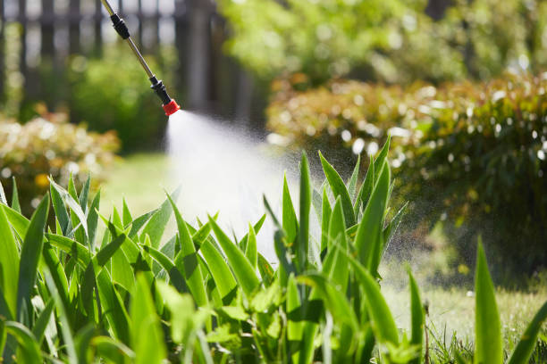 24/7 Emergency Mosquito Control experts in Markesan, WI